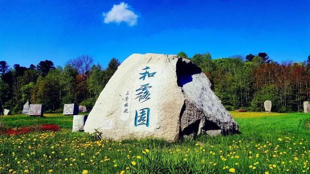 佛祖头上的“自然卷”是头发吗?为啥和尚需要剃头,而佛祖不用?